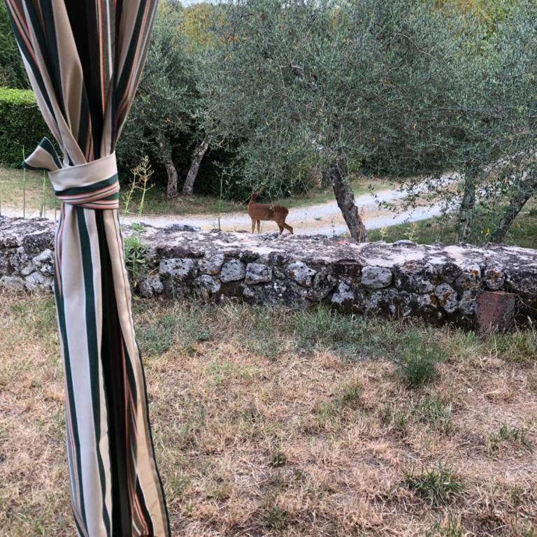 La Locaia - Casa Vacanze - 59