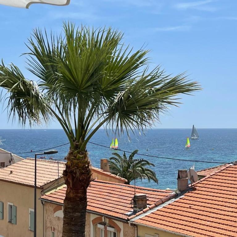 Cannes Pointe Croisette : superbe logement vue mer - Appartement 2 Chambres - 1