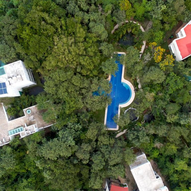 GLASS JUNGLE VILLA with amazing green views -10 min DT - Casa de 3 dormitorios - 67
