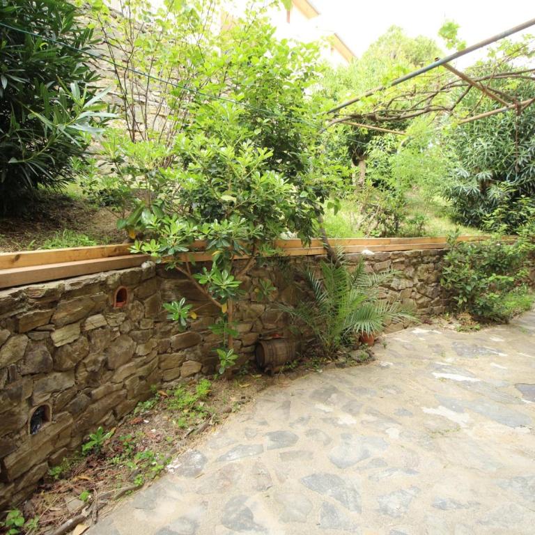 Appartement pour 6 avec terrasse à Collioure, proche plage - FR-1-309-261 - Apartment (4 Adults) - 7