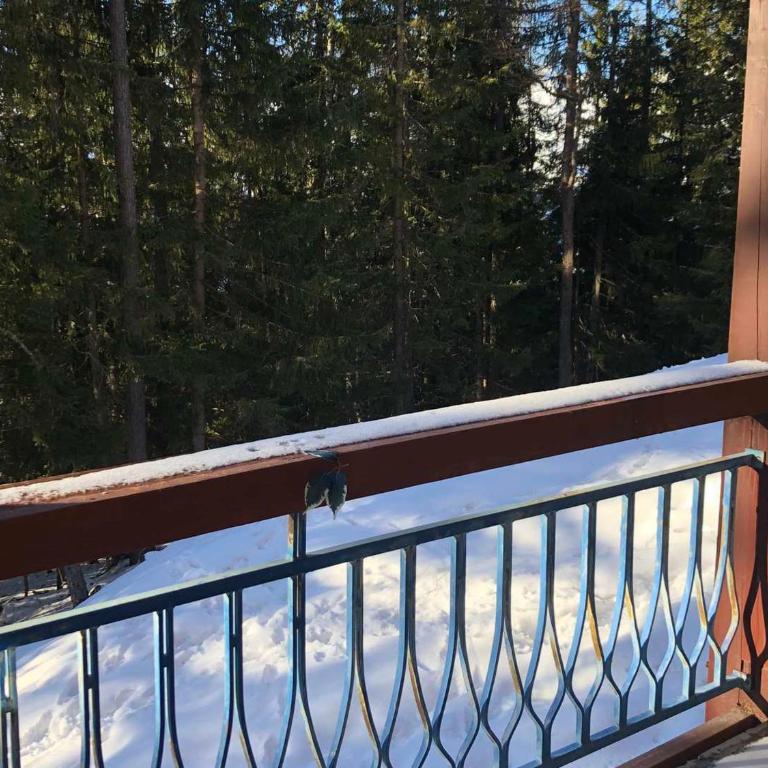 Appartement rénové au calme avec balcon et parking - FR-1-346-307 - Appartement - 3