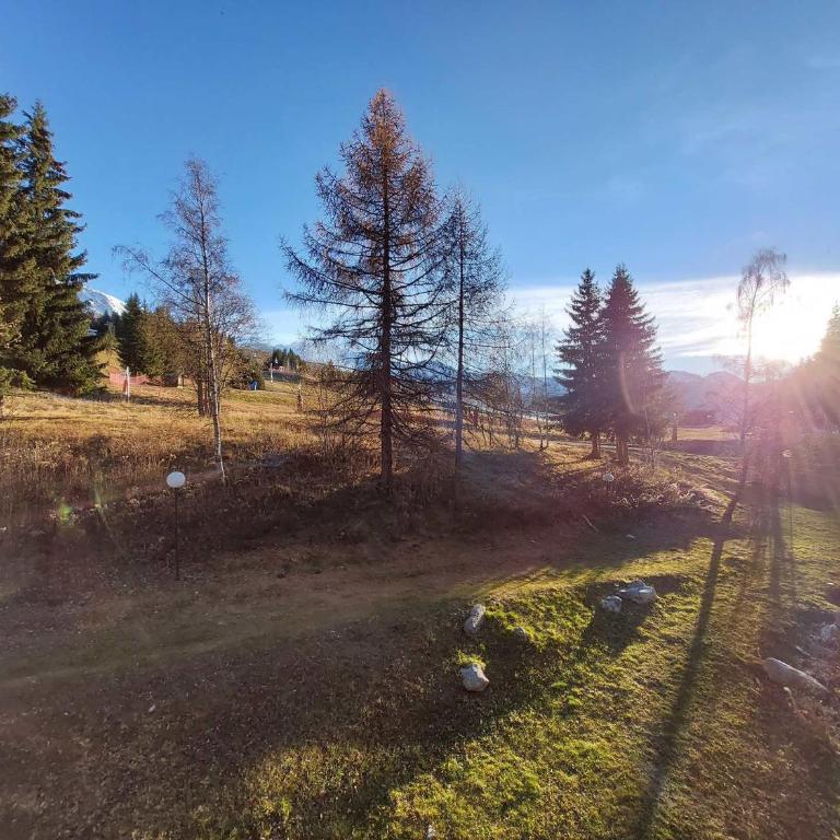 Appartement rénové, ski aux pieds, balcon, 7 personnes, WIFI - FR-1-346-313 - Appartement - 3