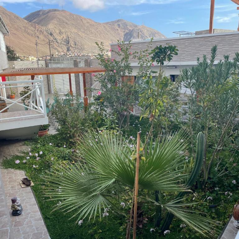 Hotel Pacífic Suites Tocopilla - Habitación Familiar Deluxe - 6