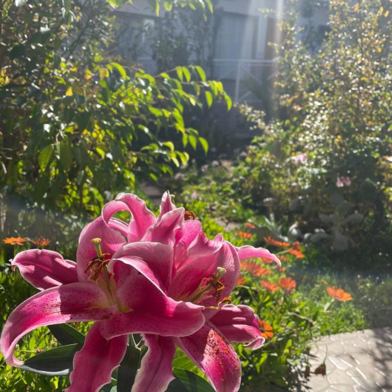 Hotel Pacífic Suites Tocopilla - Habitación Familiar Deluxe - 5