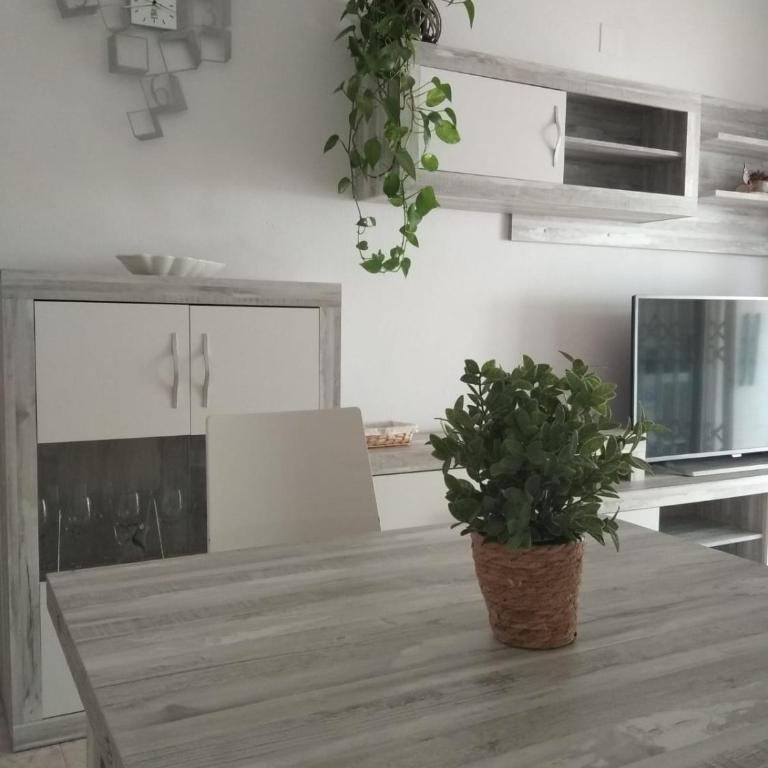 R&G SALOU - HAPPY FAMILY - Apartamento de 2 dormitorios - 10