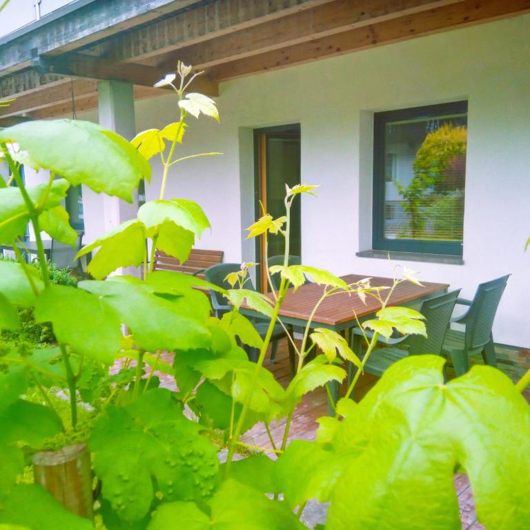 Appartement Birgla - Apartment mit 1 Schlafzimmer - 30