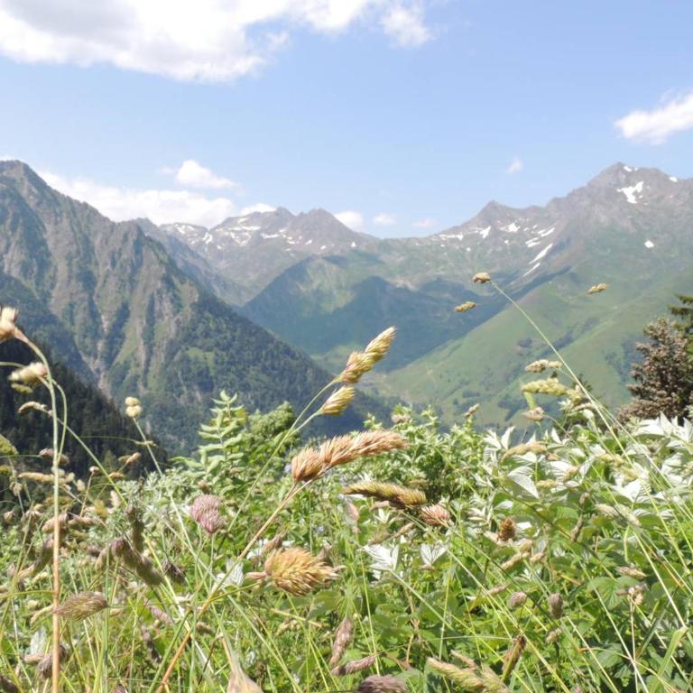 Appartement 6/8 personnes Centre Ville Cauterets - FR-1-234-78 - Appartement (8 Adultes) - 15