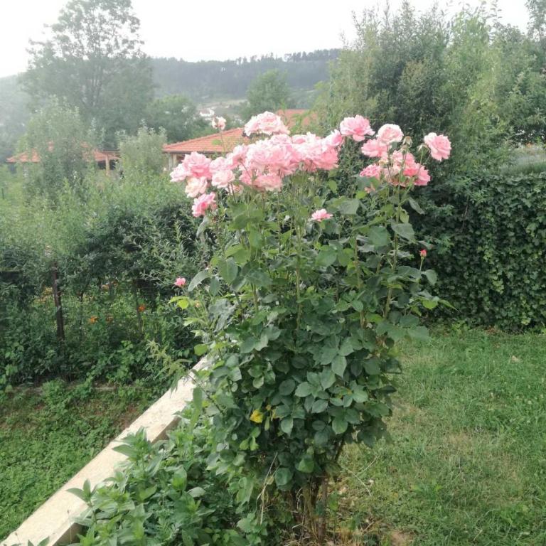Fiar - Apartman sa 2 Spavaće Sobe - 16