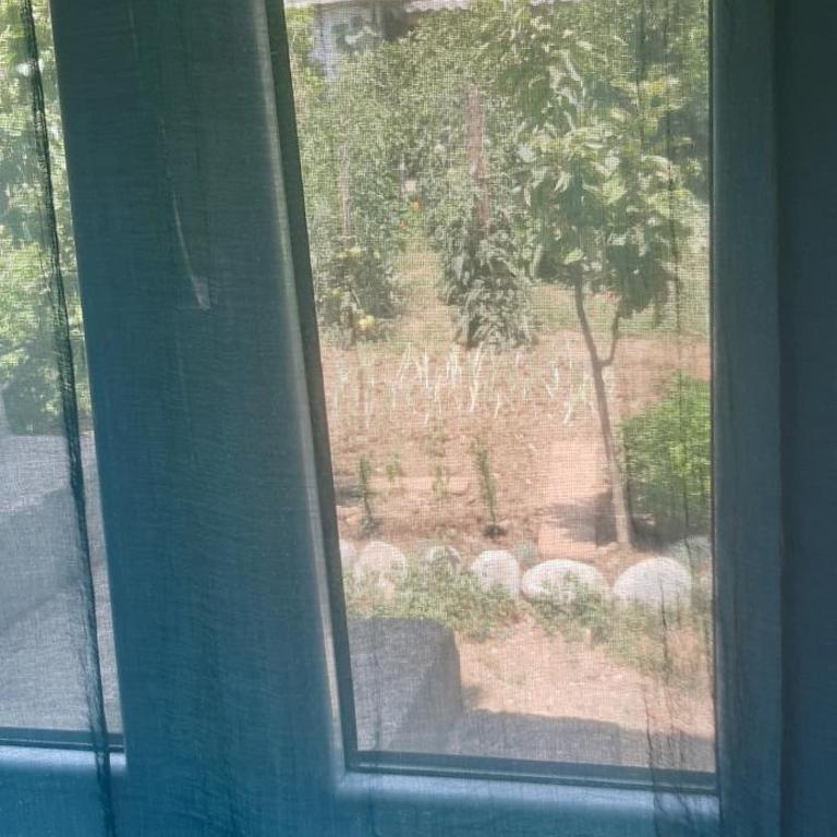 Apartments Papan - Doppelzimmer mit Gartenblick - 13