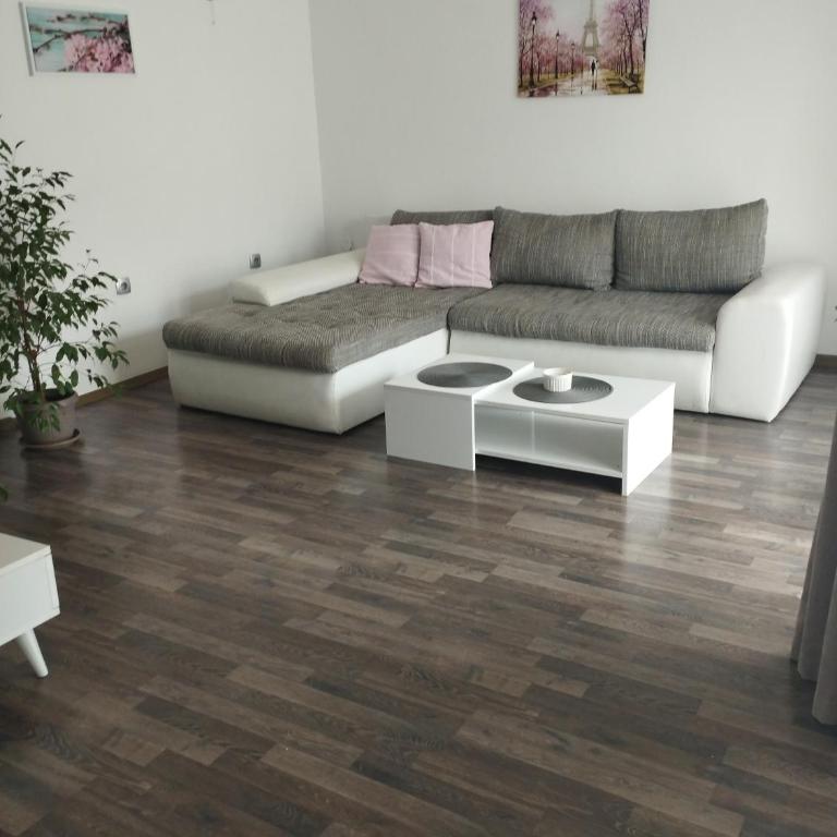 Pocanic's apartment - Apartman sa 2 Spavaće Sobe - 9