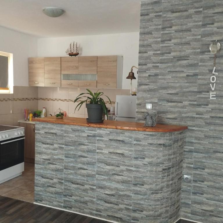 Pocanic's apartment - Apartman sa 2 Spavaće Sobe - 12