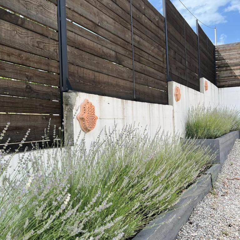 Villa The View with heated pool , modern comfort in Herzegovina - Deluks Vila - 40