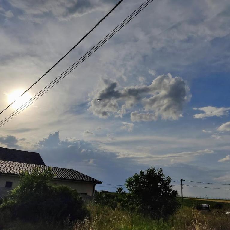 A1 - Airport Belgrade Apartment - Apartman sa 2 Spavaće Sobe - 19