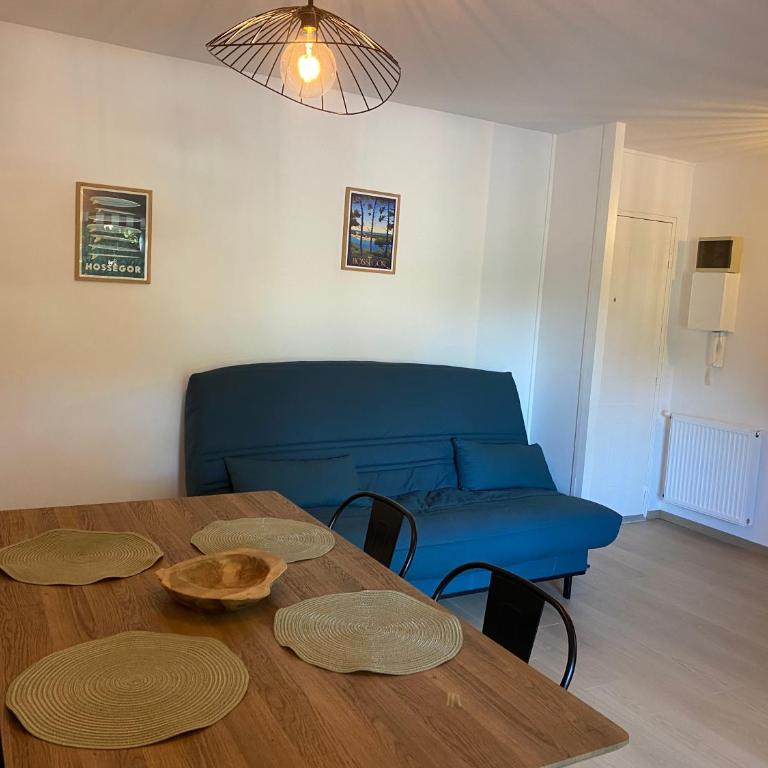 Hossegor centre - One-Bedroom Apartment - 1