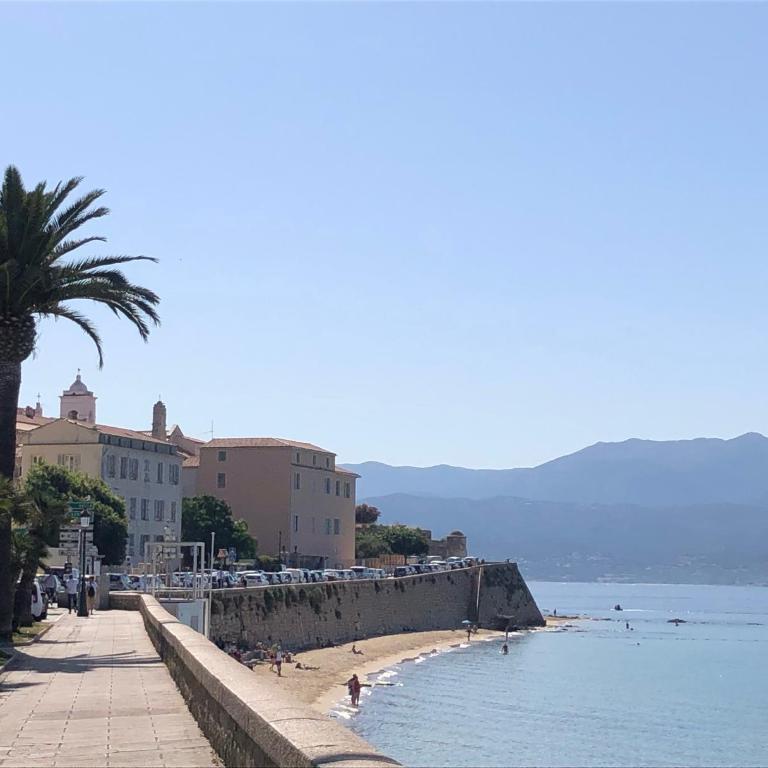 Ajaccio : appartement centre historique - Apartamento de 1 dormitorio - 1