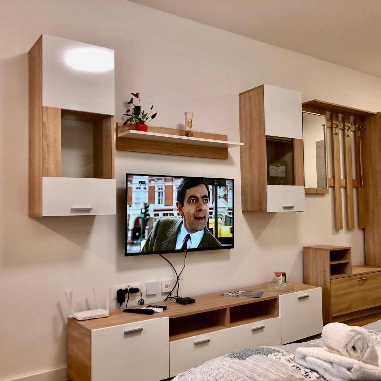 Apartments Biro - One-Bedroom Apartment - 18