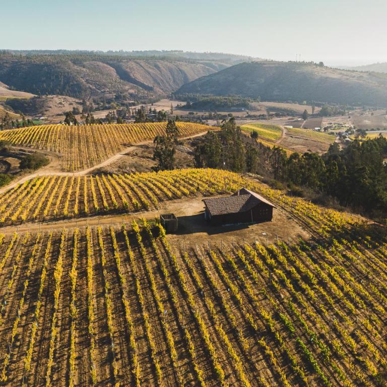 Bungalow Miramar & Jeronimo at Casa Marin Vineyards - Bungalow - 14