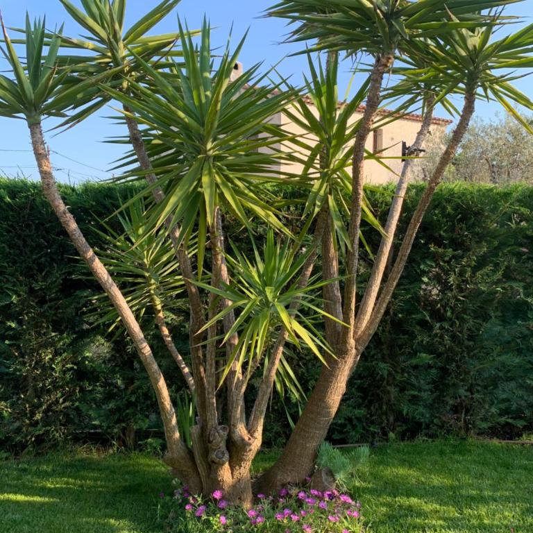 Villa Elimia piscine privée & chauffée - Chambre Double - Vue sur Piscine - 11