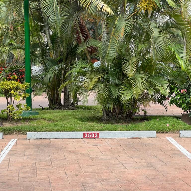 Beachfront 2 bedroom Condo in Playa Royale Resort, Nuevo Vallarta - Apartamento de 2 dormitorios - 85