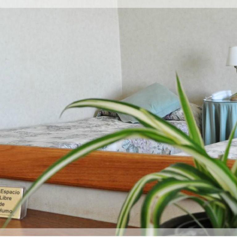 Hotel Patagonia Norte - Superior Triple Room - 2