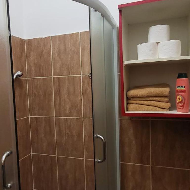 Apartment Damisa - Apartman sa Tušem - 4