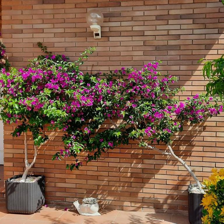 Can Carbó - Apartamento de 1 dormitorio - 27