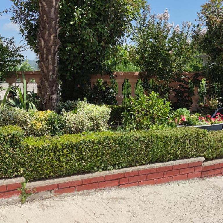 Guest's house ''Lindi&Roni'' - Trokrevetna Soba s Pogledom na Vrt - 5