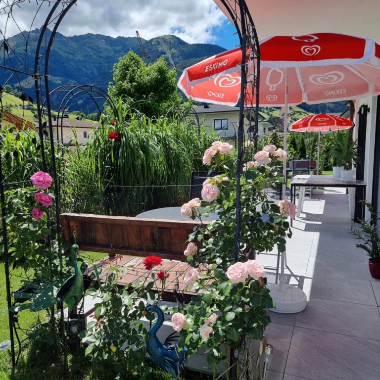 Golf & Ski Appartements Mittersill Trausmuth Monika inkl Sommercard - Golfplatz 500 m entfernt, inkl Waschmaschine, Trockner - Apartment - 1