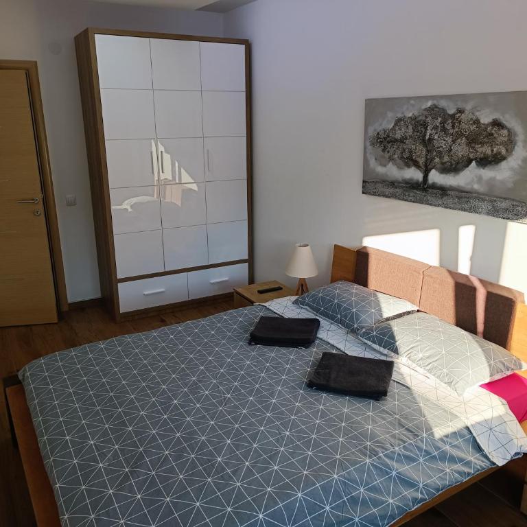 Serbian home, Gandijeva 162 - Apartman sa 2 Spavaće Sobe - 6