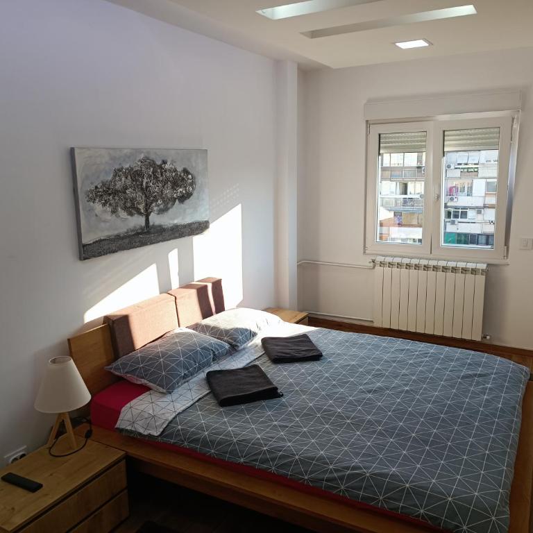 Serbian home, Gandijeva 162 - Apartman sa 2 Spavaće Sobe - 21