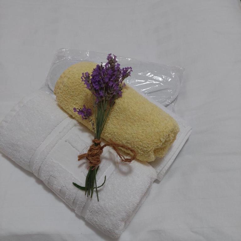 ATRIUM Holiday home - Vila - pored Plaže - 30