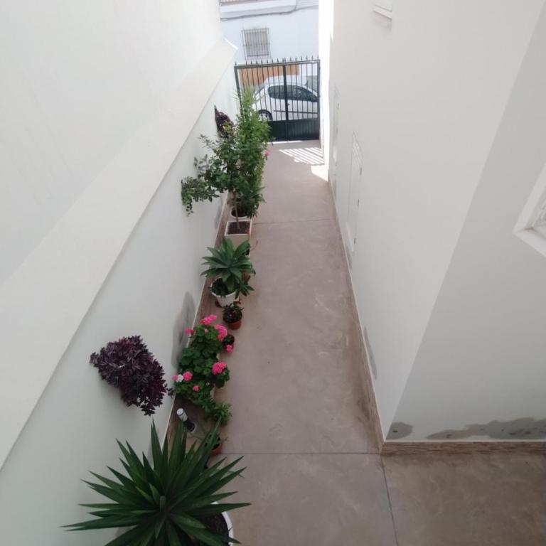Ático-Duplex Las Palmeras - Apartamento de 3 dormitorios - 20