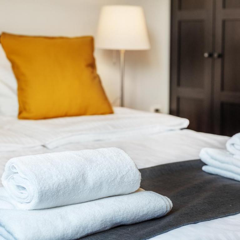 Studio apartment Financial Park Belgrade - Deluks Dvokrevetni Studio sa Bračnim Krevetom - 11