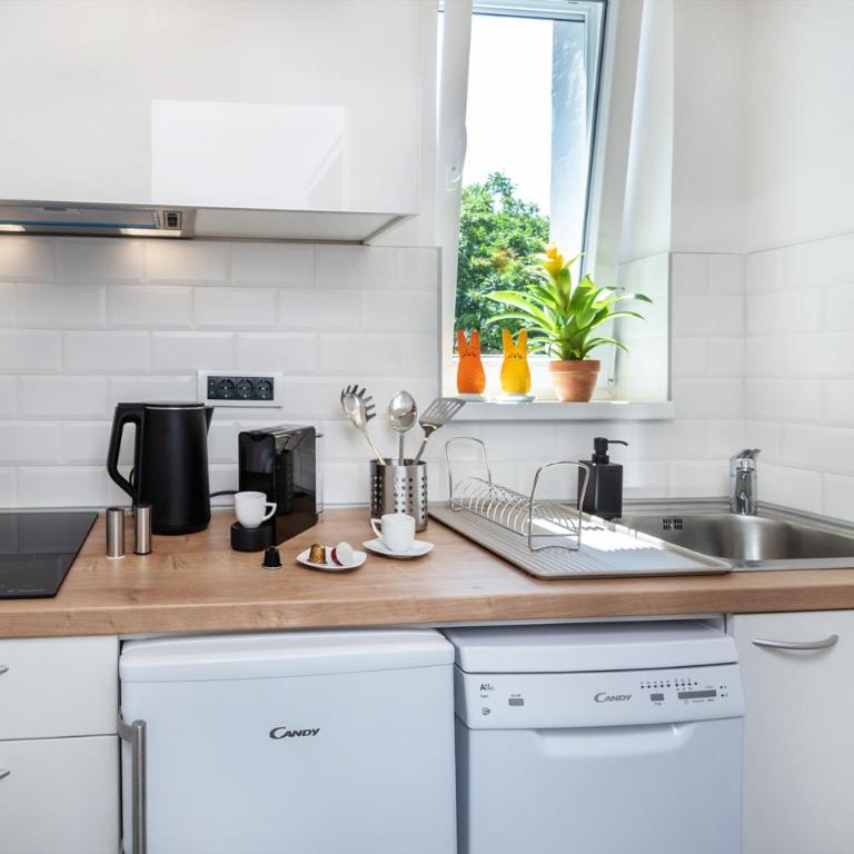 Studio apartment Financial Park Belgrade - Deluks Dvokrevetni Studio sa Bračnim Krevetom - 18