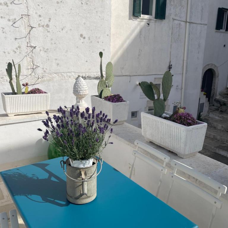 BELLE HOME OSTUNI vasca vista mare - Casa Vacanze - 47