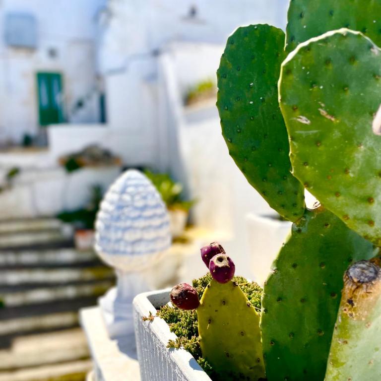 BELLE HOME OSTUNI vasca vista mare - Casa Vacanze - 50
