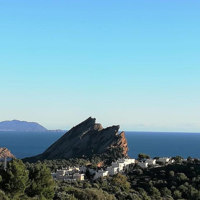 Studio 28m2 climatisé,WIFI, proche des calanques,plages - Studio mit Gartenblick - 16