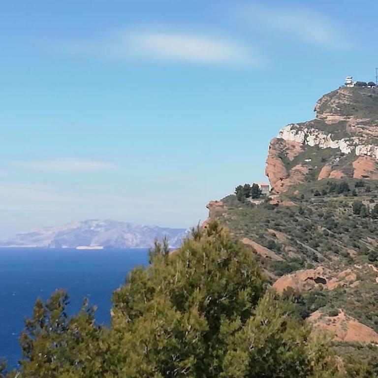Studio 28m2 climatisé,WIFI, proche des calanques,plages - Studio mit Gartenblick - 15