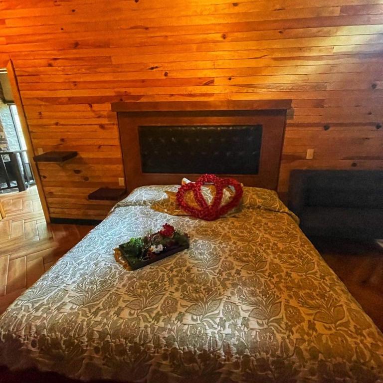 Cabaña Bagheera - Chalet - 29
