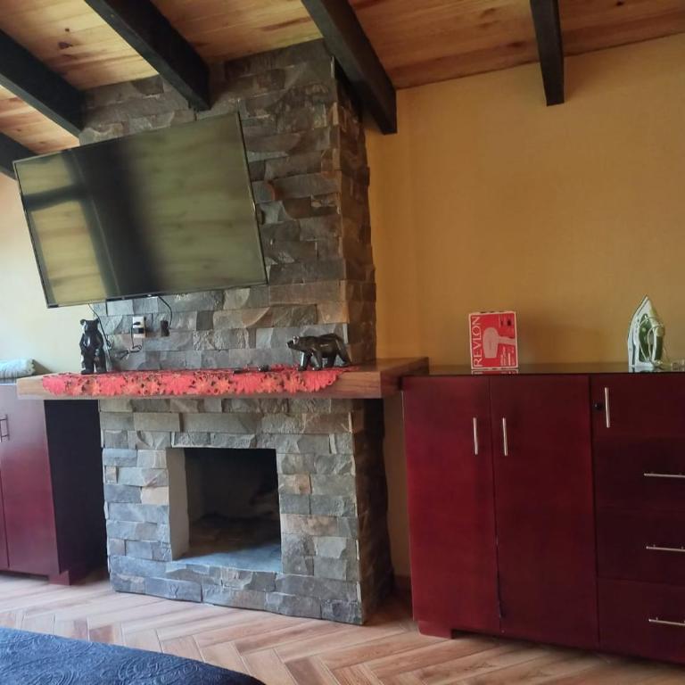 Cabaña Bagheera - Chalet - 33