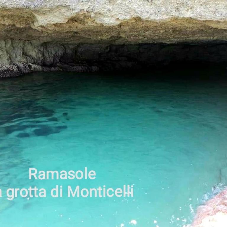 Ramasole - One-Bedroom Apartment - 26