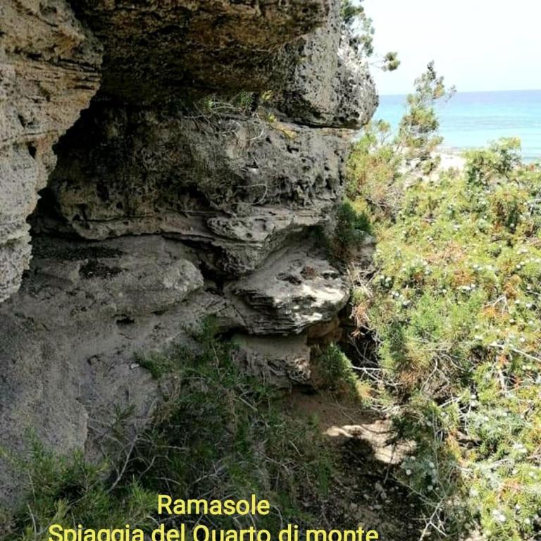 Ramasole - One-Bedroom Apartment - 27