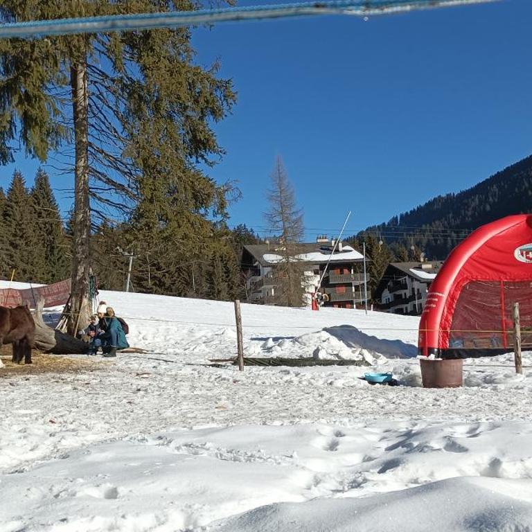 Studio appartement avec piscine, ski Porte du soleil Morgins, PS3 games, wash & bring sheets - Studio mit Schlafsofa - 12