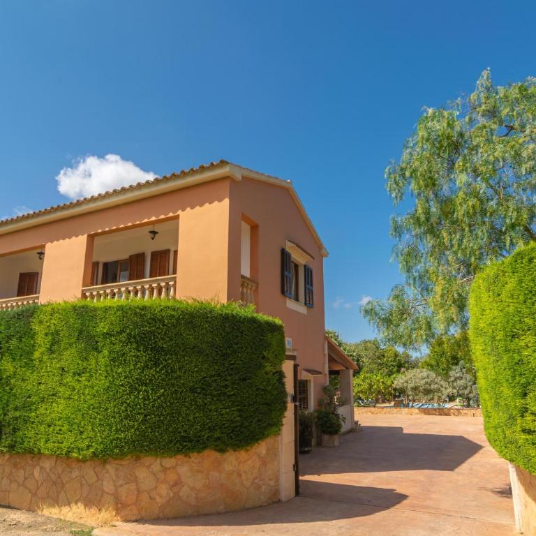 Pili - Villa - 49