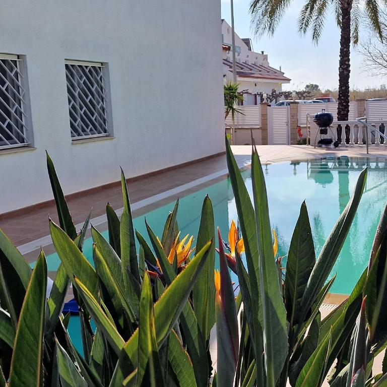 Riumar "La Pinya", 500m to beach, Privat-Pool, On-Site-Service, dog beach - Casa de 4 dormitorios - 2
