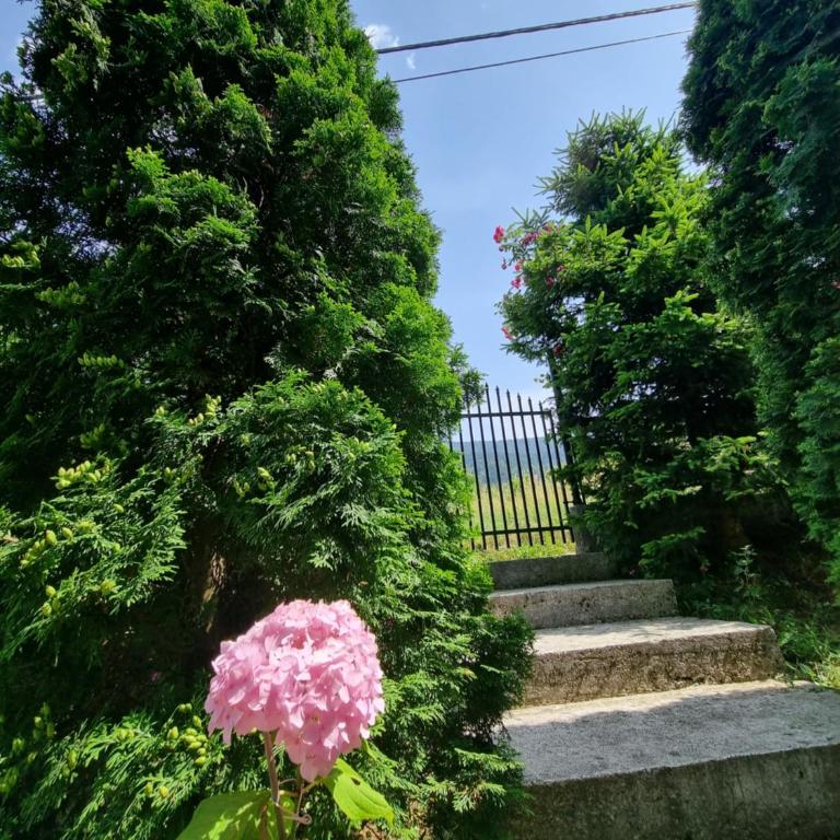 Sunset House Sarajevo - Four-Bedroom Vacation Home - 58