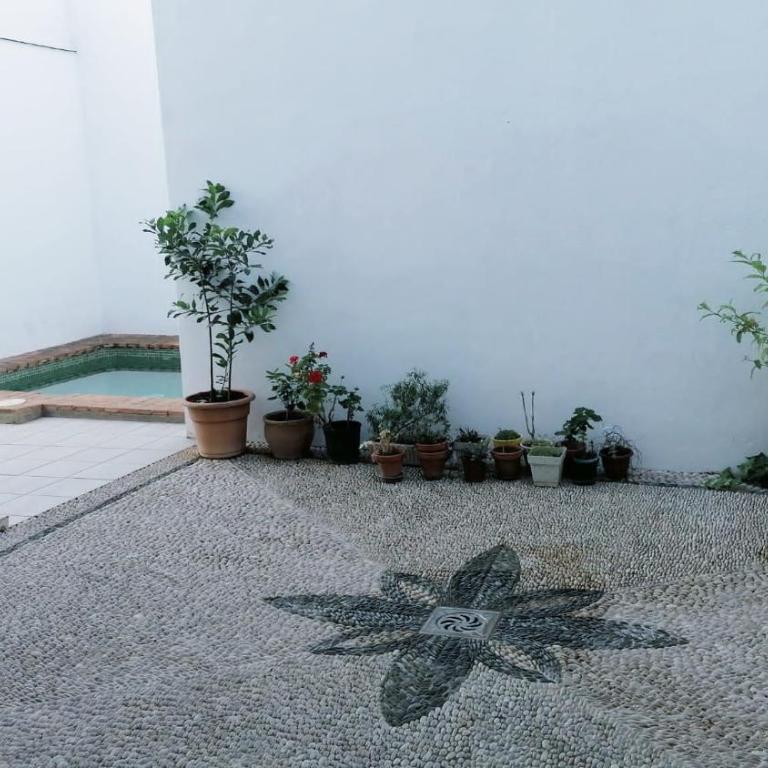 Apartamento Las Tazas (Parking Gratuito) - Apartamento de 2 dormitorios - 26