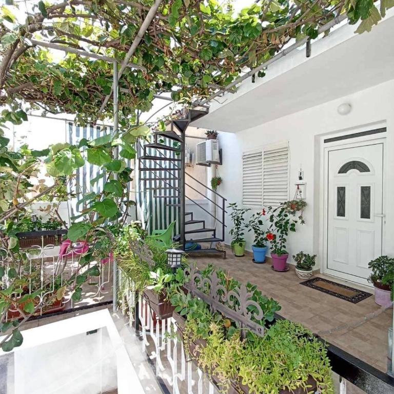 Kiwi Apartments Budva - Apartman sa 2 Spavaće Sobe - 5