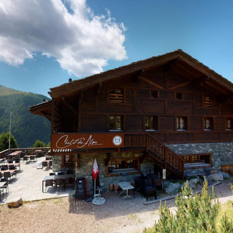 Chalet des Alpes NATURE & MOUNTAIN by Alpvision Résidences - Apartment mit Balkon - 10