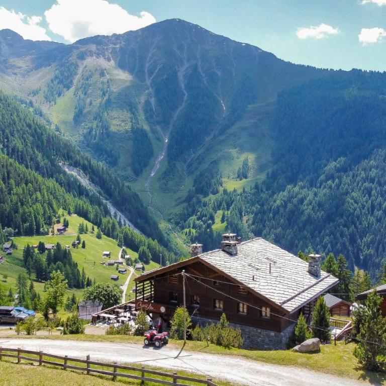 Chalet des Alpes NATURE & MOUNTAIN by Alpvision Résidences - Maisonette-Apartment - 16